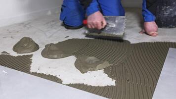 Tiler worker placing or tiling gray ceramic tile in the position over adhesive glue with lash tile leveling system, renovation or recontruction, concept of building video