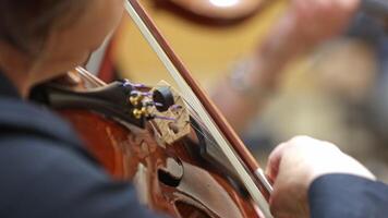 Professional symphonic string orchestra performing on stage and playing a classical music concert, violinist in a foreground video