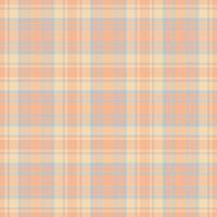 Plaid seamless pattern. background of textile ornament. Flat fabric design. vector