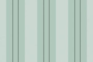 Vertical lines stripe background. stripes pattern seamless fabric texture. Geometric striped line abstract design. vector