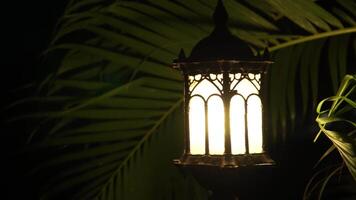 An oil lamp lantern hanging from a tree with a light inside. The lantern is old and rusted. video