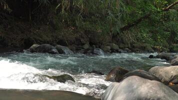 A river in a forest with a lot of rocks in Klaten, Central Java, Indonesia. video