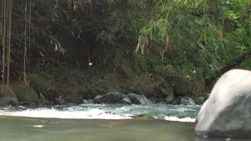 A river in a forest with a lot of rocks in Klaten, Central Java, Indonesia. video