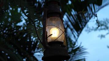 ein Öl Lampe Laterne hängend von ein Baum mit ein Licht innen. das Laterne ist alt und verrostet. video
