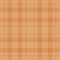 Plaid seamless pattern. Check fabric texture. textile print. vector