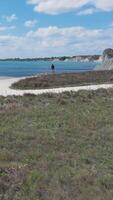 A beach with grass and sand in front of a body of water video