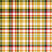 Plaid seamless pattern. background of textile ornament. Flat fabric design. vector