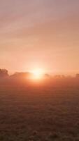 A field with a sun setting over it video
