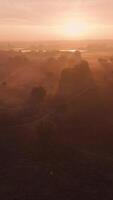 Sunset over a field with trees and fog video