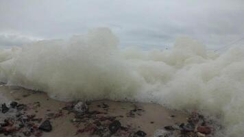 Sea foam during a storm in the Black Sea, water pollution, eutrophication video