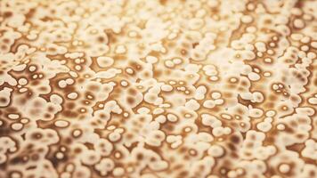 Abstract noise pattern background, 3d rendering. video