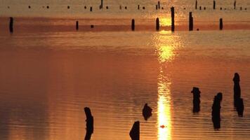 Red sunset over the Hadzhibey estuary, reflection in the water of clouds video