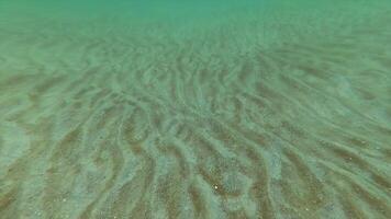 The bottom of the sea, covered with waves of sand, formed during a storm video