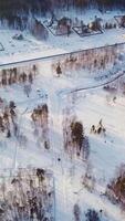 Top view of village surrounded by forest in winter. Action. Country plots with cottages surrounded by wild forest in winter. Small village near the forest on winter day video