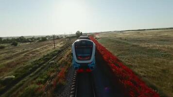 Enjoy a mesmerizing Train Journey Through the Vibrant and Colorful Fields of Nature. Media video