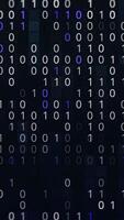 Blue and white binary code fast typing on dark display. Animation. Numbers zero and one coding on black background, seamless loop. video