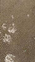 Aerial view of a dry lake bottom with deeply cracked soil and a small water spring. . Unusual texture with many cracks in the ground, concept of weather change and global warming. video