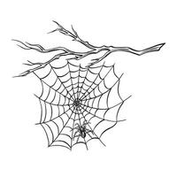 Spider with web on the bare tree branch. Line sketch. Spooky trap of insect thread. graphic illustration, hand drawn isolate. Black and white animal in the nature. Clipart for postcard, print. vector