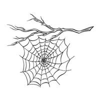 Spider web on the bare tree branch. Composition of line sketches. Spooky trap of insect thread. graphic illustration, hand drawn isolate. Black and white forest nature. Clipart for card, print. vector