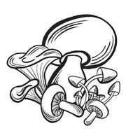 Forest mushrooms composition. Porcini and honey fungus, chanterelle and champignon. Autumn harvest arrangement. illustration hand drawn isolated. Black and white Fall clipart for wrapping, menu vector