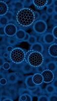 Interaction between bacteria. Design. Abstract medical background with fast spreading virus cells of blue color. video