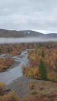 Aerial view of a picturesque valley with autumn colorful growing trees and withered grass. Clip. Stony river flowing with low clouds and forested hills on the background. video