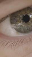 Macro photography of man's eye. Action. Close-up of man's eye with mixed gray color. Beautiful details of human eye with reflection in pupil video