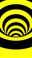 Spiral hypnotic whirl with the zebra pattern. Animation. Colorful optical Illusion tunnel, psychedelic spiral lines. video