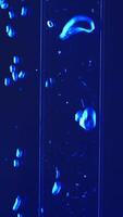 Close up of underwater view of air bubbles in colored liquid substance. Clip. Vertical bubbles flow in water. video