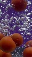 Tomatoes fall into water. Stock footage. Lot of juicy tomatoes sink to bottom of aquarium. Red tomatoes fall into water on isolated background video