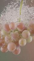 Branch of grapes falling into transparent water on green and beige background. Action. Close up of fresh berries splashing in aquarium with air bubbles, concept of healthy food, diet. video
