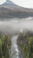 Aerial view over wild river and forest in beautiful scenery. Clip. Foggy day in mountains on an autumn day with mixed forest and bright cloudy sky. video