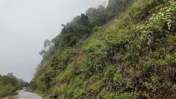 A misty mountain road lined with lush greenery evokes adventure and tranquility, ideal for Earth Day celebrations video