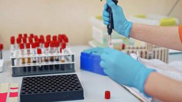 Laboratory worker is putting tubes with blood on a rack. Hands of a female nurse in sterile gloves working with vials on the table in a laboratory. Close-up. video
