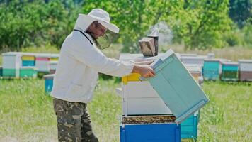 Beekeeper is working with bees and beehives on the apiary. Frames of a bee hive. Apiary concept video