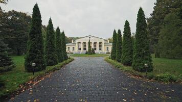 Wet pavement which leads to the big light building in the park. Beautiful alley with green trees and a nice architecture in peaceful landscape garden in autumn. video