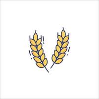 Two ears of wheat on a white background vector