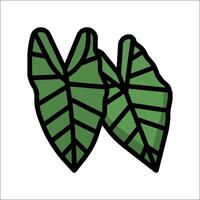 Two green leaves are shown on a white background vector