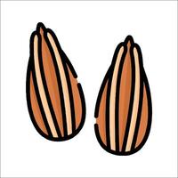 Two nuts are shown on a white background vector