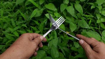 spoon and fork are rubbed against each other by someone's hands on a background of green grass video