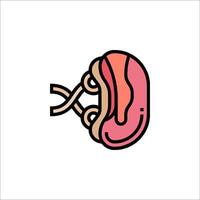 An illustration of a kidney with a rope around it vector