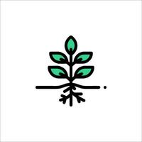 A plant with roots and leaves on it vector