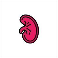 A kidney icon on a white background vector