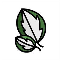 A green and white leaf icon vector