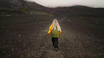 Trip To Edge Of Earth, Rear View Of Woman Tourist Walking In Beautiful Landscape Of Iceland video