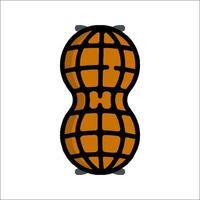 A peanut is shown in a flat style vector
