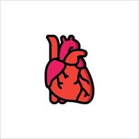 An illustration of a human heart vector