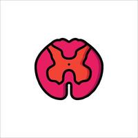 A red and pink brain with a hole in it vector