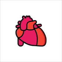 An illustration of a human heart vector