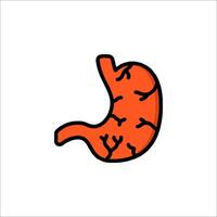 The stomach is shown in a flat line vector